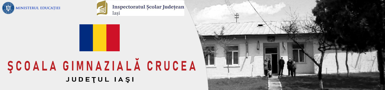 Scoala Gimnaziala Crucea